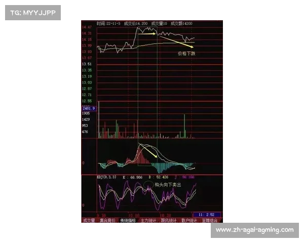 法甲比赛整体表现评价及技术指标分析 法甲比赛整体表现评价及技术指标分析
