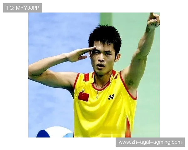 羽毛球球拍林丹 羽毛球球拍林丹