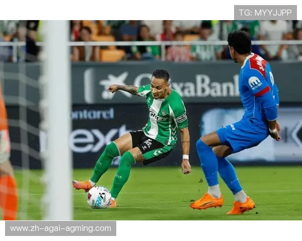 足球西甲联赛中有哪些中国籍球员