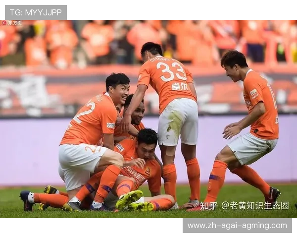 足球门票销售策略如何影响联赛收入与观众参与度