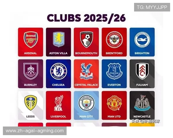 英超球队标志及含义 英超球队标志及含义