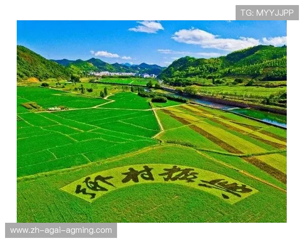 台江走出体育赋能乡村振兴新路径赛事经济激活乡村发展新动能